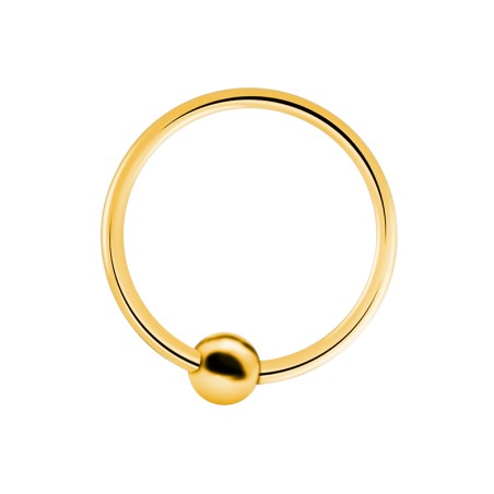 Gold plated ball hoop