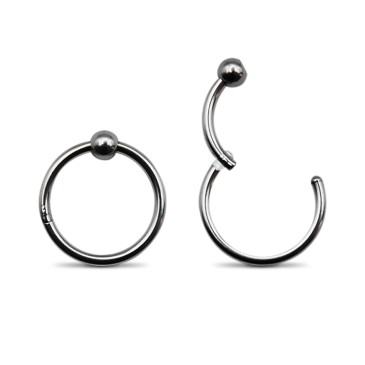 Segmented hoop with ball...