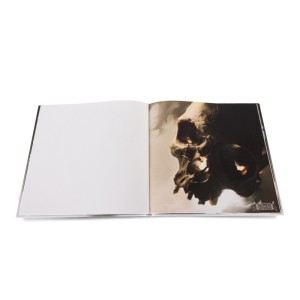 Bullet BG Book – Skull Project