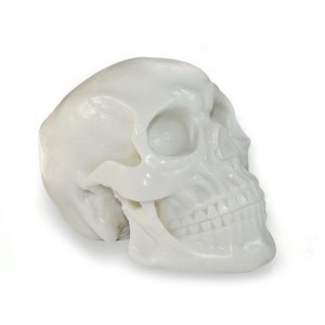 Tattooable silicone skull for studio decoration